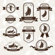 Bananas labels collection