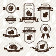 Apricot labels collection