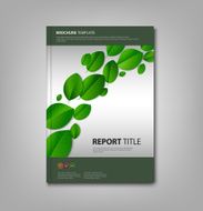 Brochures book with green leaves template