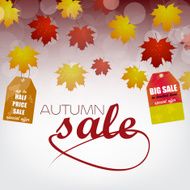 Autumn sale vector background N2