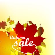Autumn sale vector background N3