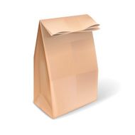 blank brown paper bag N2