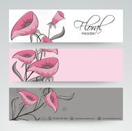 Website header or banner set N13