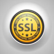 SSL 100 Safety Guarantee N2