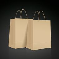 kraft paper bag set N2