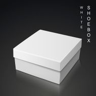 white shoe box N4