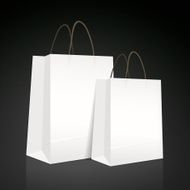 white paper bag set N2