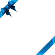 Blue Bow N3
