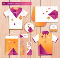 Vector artistic corporate identity template with color elements N11