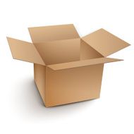 blank open cardboard box