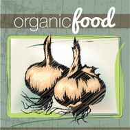 Organic Food illustration N3