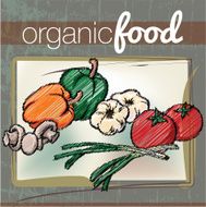 Organic Food illustration N4