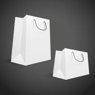 3d blank shopping bags N4