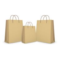 blank paper bags set in brown N5