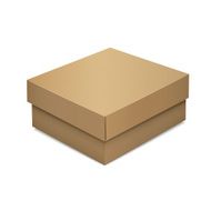 blank cardboard box N6