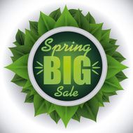 Spring Sale vector illustration eps 10 graphic N16