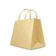 Paper Shopping Bag N12