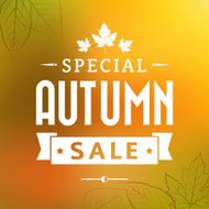 autumn special sale vintage vector poster