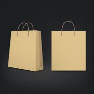 3d blank shopping bags N6