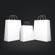 3d blank shopping bags N9