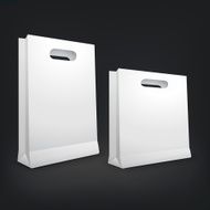 3d blank shopping bags N11