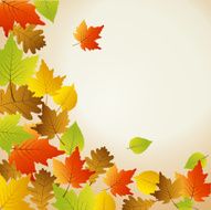 Thanksgiving card N14