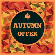 Autumn offer