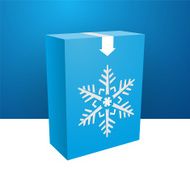 blue boxe with white snowflakes