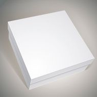 Package white box design template for your package put