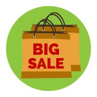 Big Sale Icon Flat style illustration