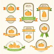 Pumpkin labels