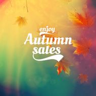 Autumn sale realistic Leaves typography poster N44