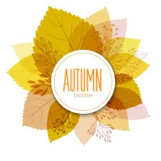 Autumn background with leaves N39