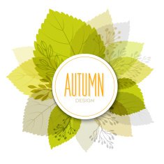 Autumn background with leaves N40