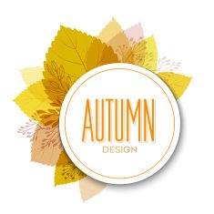 Autumn background with leaves N41