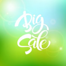 Big Sale Inscription Calligraphy Lettering Vector illustration N15