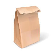 blank brown paper bag N2