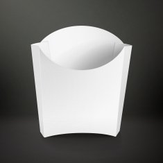 blank package container for french fries N4