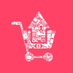 Shopping Icon N59