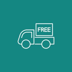 Free Shipping Icon N5
