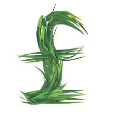 Uk pounds sign from grass