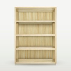 blank wooden bookshelf isolated on white N2