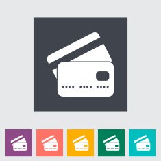 Credit card flat single icon N2