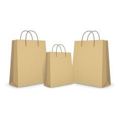 blank paper bags set in brown N5