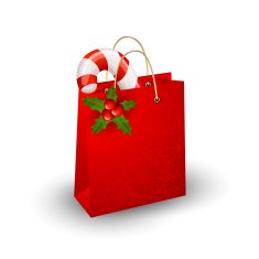 Christmas paper bag N2