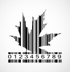 Barcode Autumn Maple Leaf Image Vector Illustration