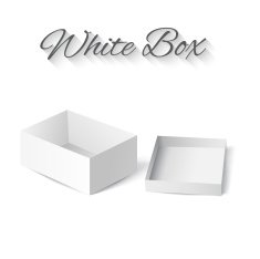 White gift carton box N11