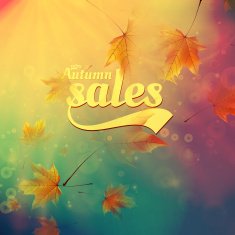 Autumn sale realistic Leaves typography poster N40