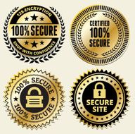 Gold and black &quot;100 Secure&quot; secure website sticker badge