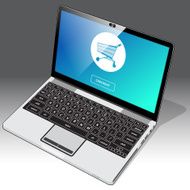 Laptop accessing an online shopping website